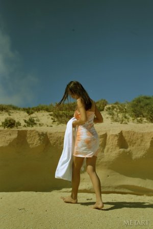 Two models posing naked on a sunny beach photo 4