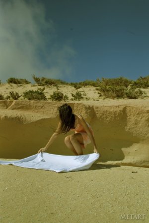 Two models posing naked on a sunny beach photo 10