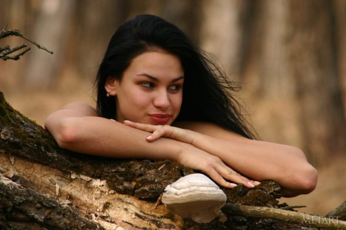 Gorgeous dark haired girl posing in woods photo 1