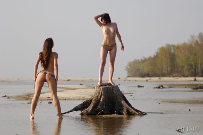 Girls pose next to a three stump on the beach photo 3