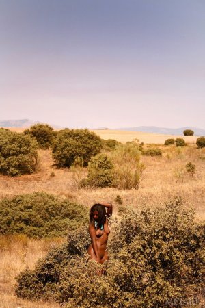 Hot African honey posing in the wild photo 13