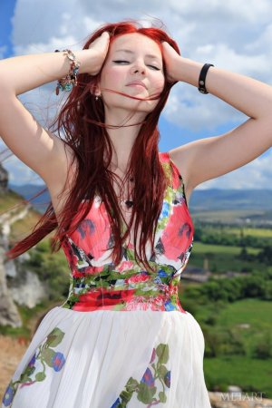 A redhead is displaying her hairy pussy outdoor photo 9