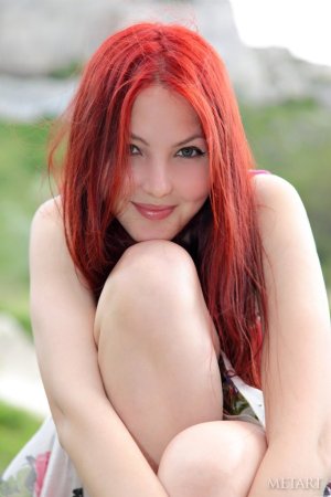 A redhead is displaying her hairy pussy outdoor photo 18