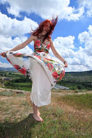 A redhead is displaying her hairy pussy outdoor photo 19