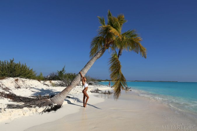 Brunette is climbing on a palm tree photo 10