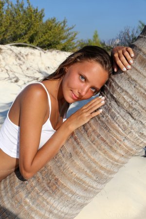 Brunette is climbing on a palm tree photo 12