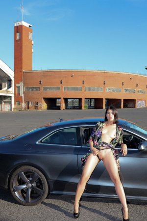 Hottie rubs car with her naked boobs and pussy photo 2