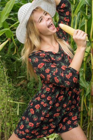Horny babe rubs pussy with corn in the field photo 7