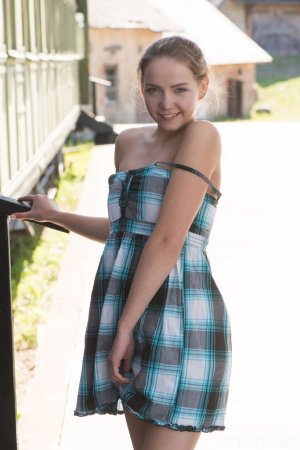 Hottie takes off dress to rub pussy on a walk photo 3