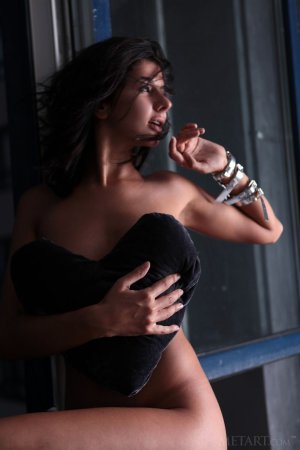 Dark-haired sweetie undresses at the sunset photo 6
